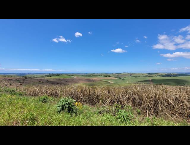 134HA FARM FOR SALE IN BALLITO RURAL